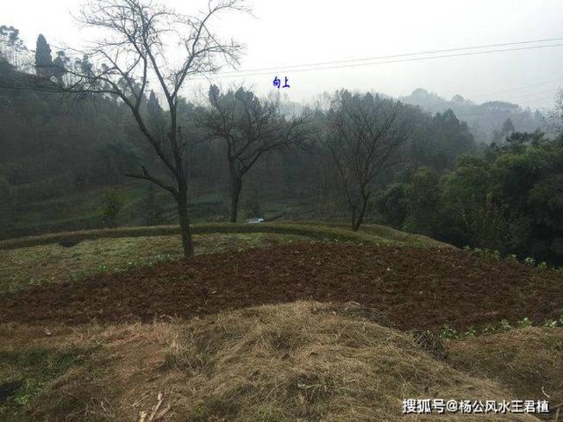 成都公墓如何选购？一份详细的买家指南
