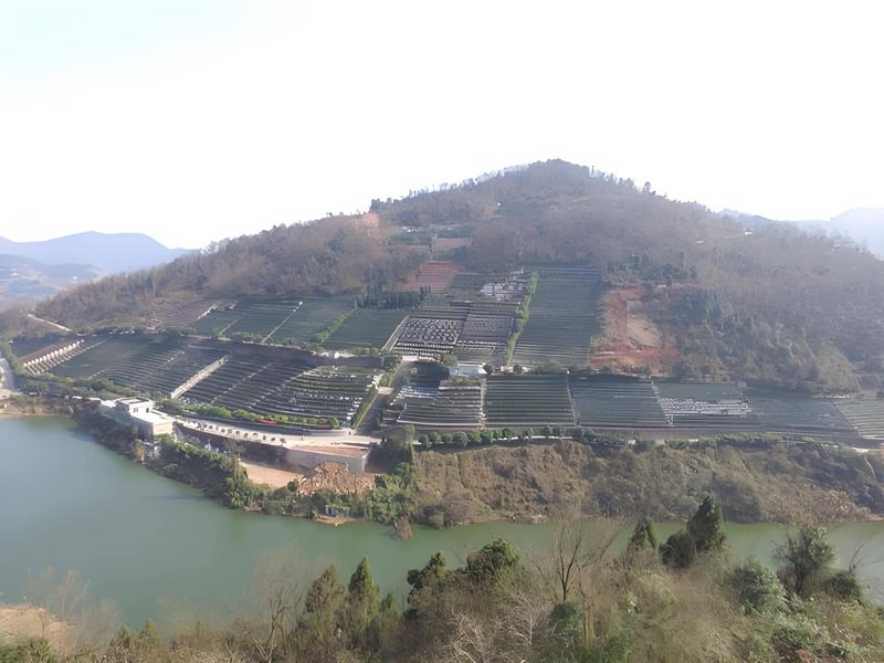 成都公墓购买：选择与决策的深度分析