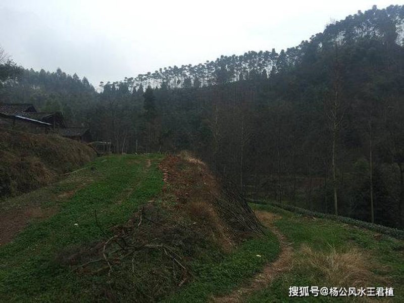 成都陵园:历史沉淀与现代需求的交融